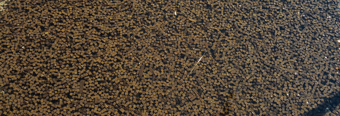 Close-up view of numerous LINPOR cubes floating in water, forming a dense layer of small, brown, porous blocks used for biological wastewater treatment.