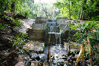 Kleines gestuftes Betonbauwerk in einem Wald, das Wasser in einen Bach leitet, umgeben von grüner Vegetation.
